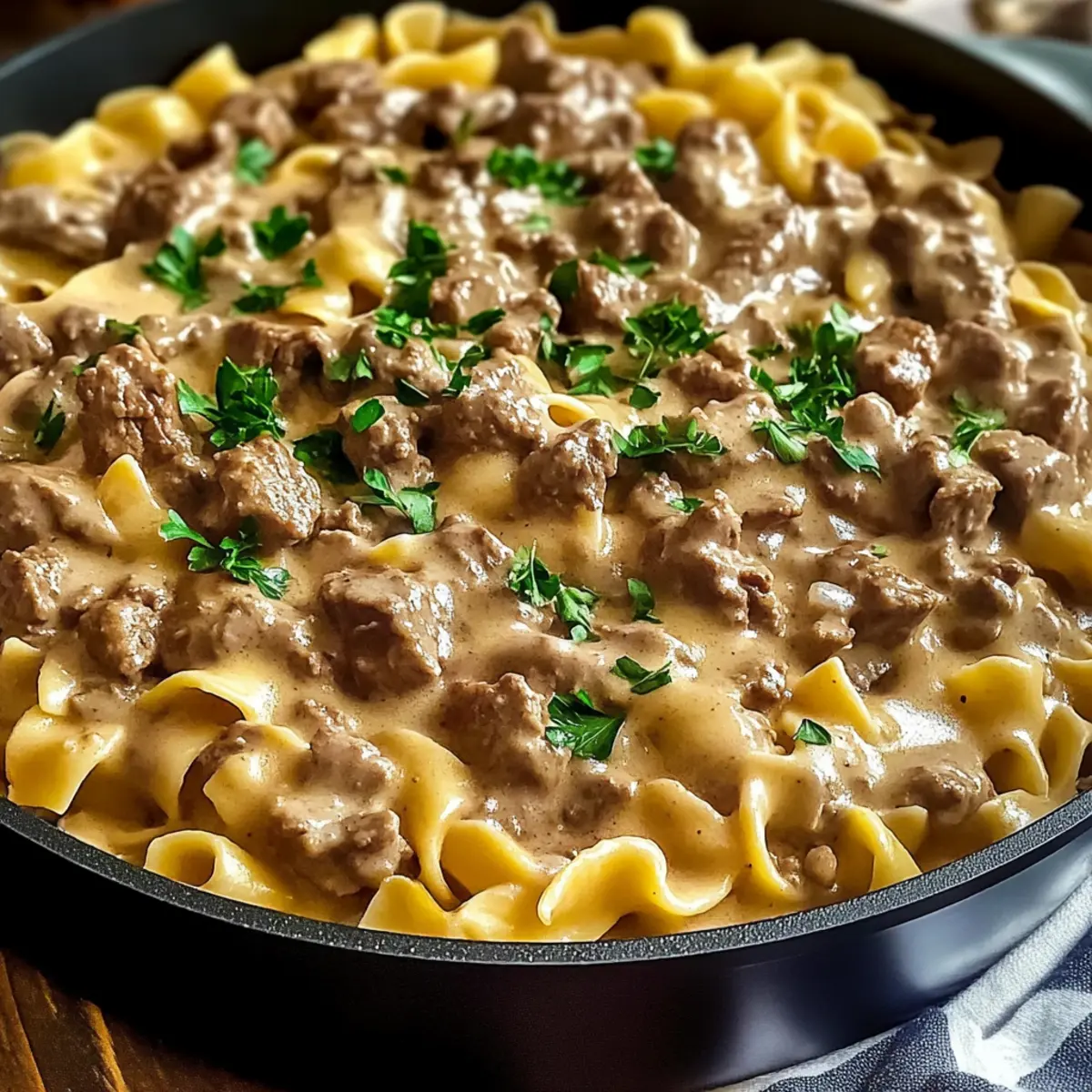 Hamburger Helfer Rindfleisch Stroganoff schnell zubereiten