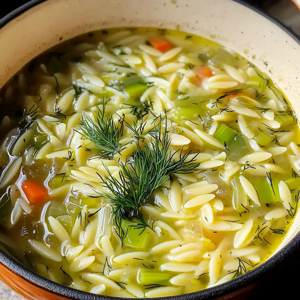 Orzo, Lauch und Dill Suppe für kuschelige Abende